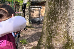 WhatsApp-Image-2023-04-16-at-20.17.11