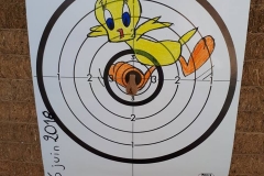 35742244_1762363300511906_390117643341791232_n