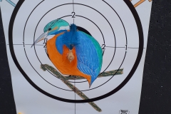 9cf43a4f08b546828aa71c211f767ca6-20190615_141322