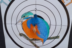 e7e297ff8f5e4b4a9dd63f30071ab9f6-20190615_141320