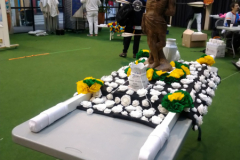 347127378_779533486954932_922952777402189256_n