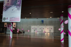 Coupe des Miss 2018 Samedi Entrée (Copier)