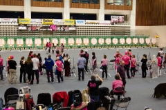 D Coupe des Miss 2018 Samedi-10 (Copier)