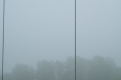 DSCF8434