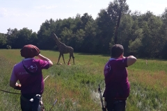 WhatsApp_Image_2018-05-27_at_10.42.54