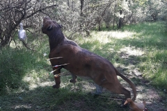 WhatsApp_Image_2018-05-27_at_11.17.51