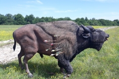 WhatsApp_Image_2018-05-27_at_12.03.53