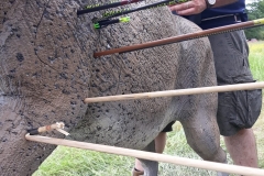 WhatsApp_Image_2018-05-27_at_18.20.20