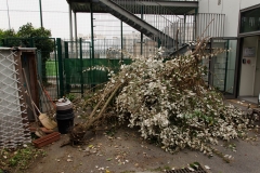 Opération_Rangement-__23_Mars_2019-10